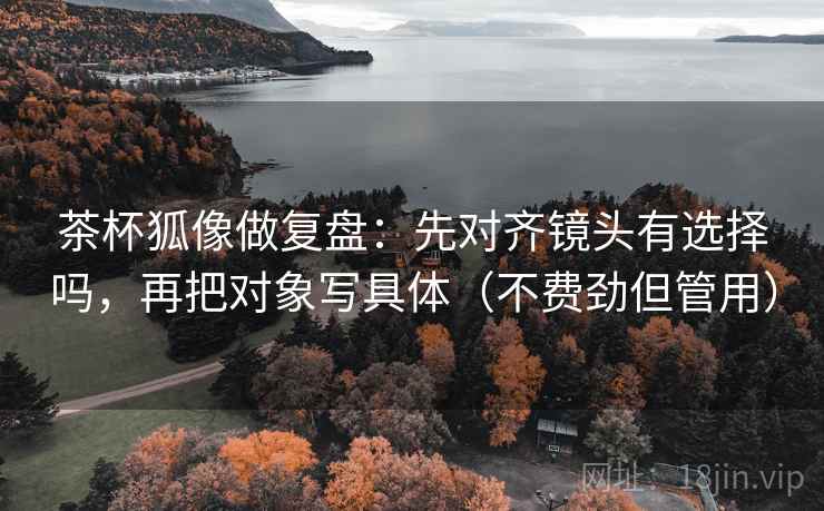 茶杯狐像做复盘：先对齐镜头有选择吗，再把对象写具体（不费劲但管用）  第2张