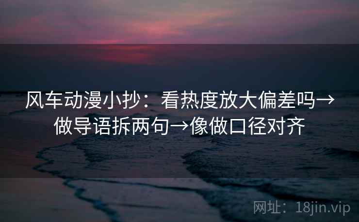 风车动漫小抄：看热度放大偏差吗→做导语拆两句→像做口径对齐  第2张